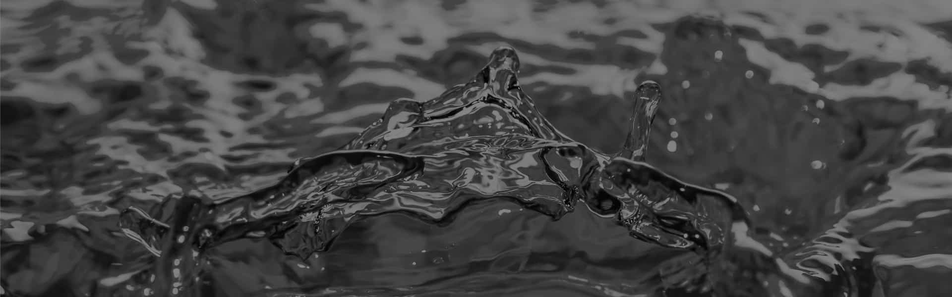 ANIMAL TESTING STATEMENT | Auto-Chlor