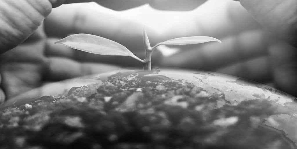 SAFER CHOICE DRYING AGENTS | Auto-Chlor